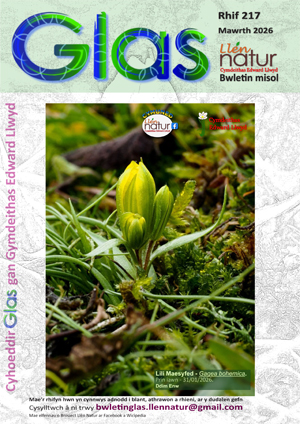 Cylchgrawn 217